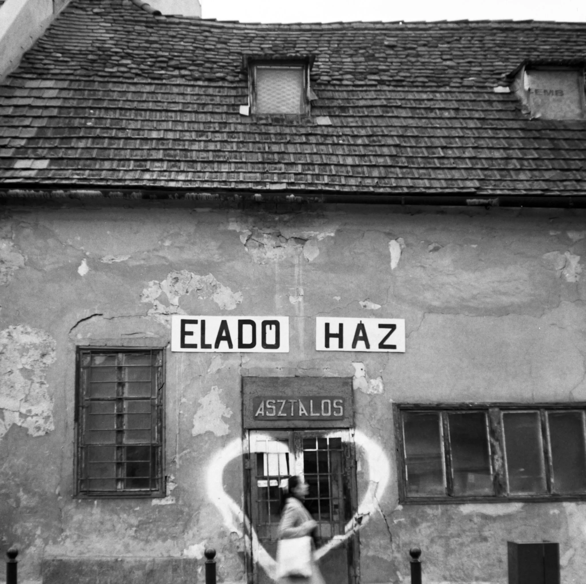 Film photography gallery Dora Goodman Cameras