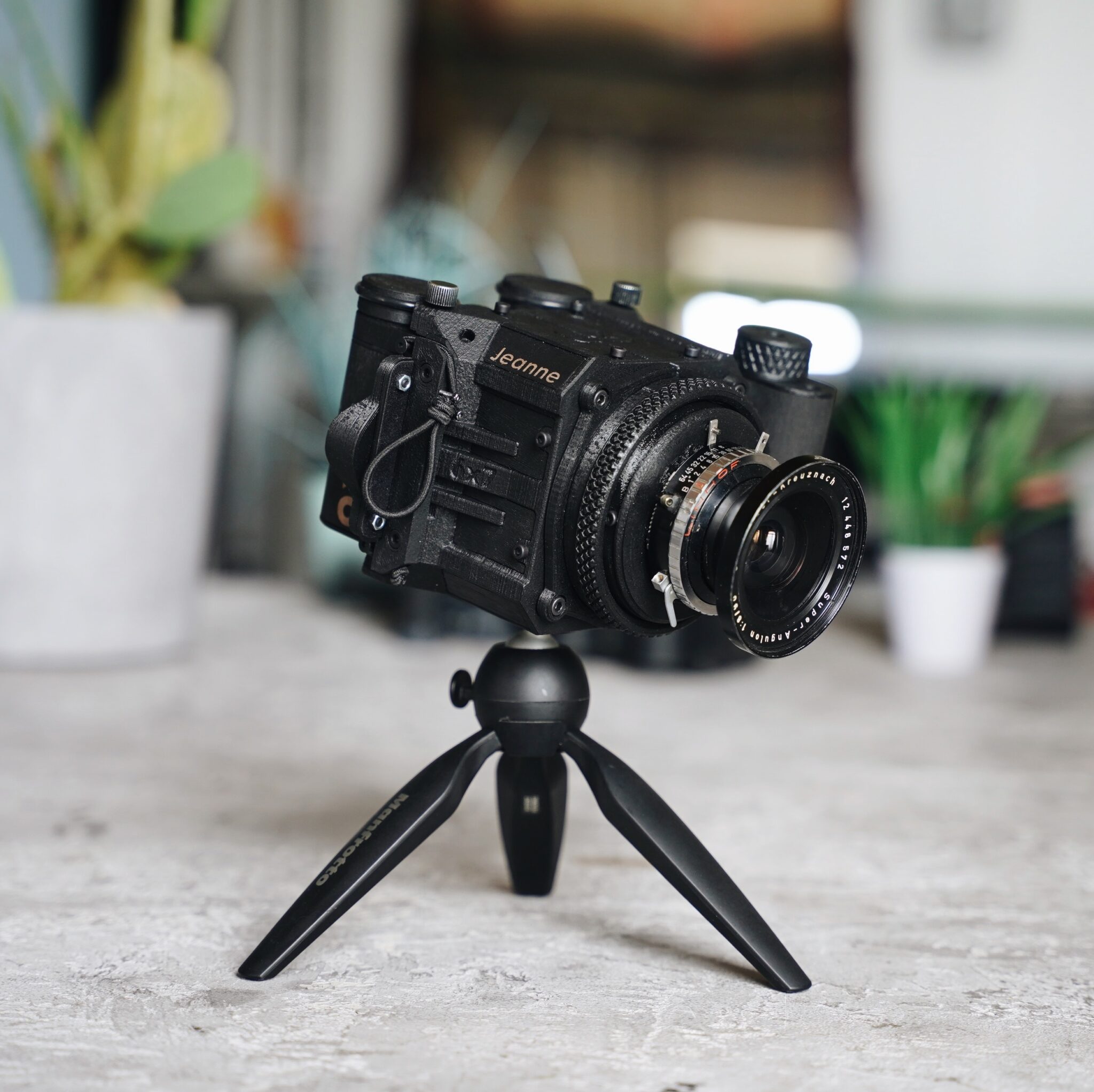 Goodman Zone Jeanne Edition Dora Goodman Cameras