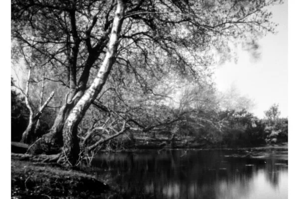 harvey-mills-pinhole-shot-3