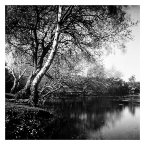 harvey-mills-pinhole-shot-3