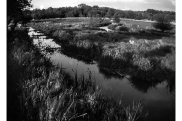 harvey-mills-pinhole-shot-2