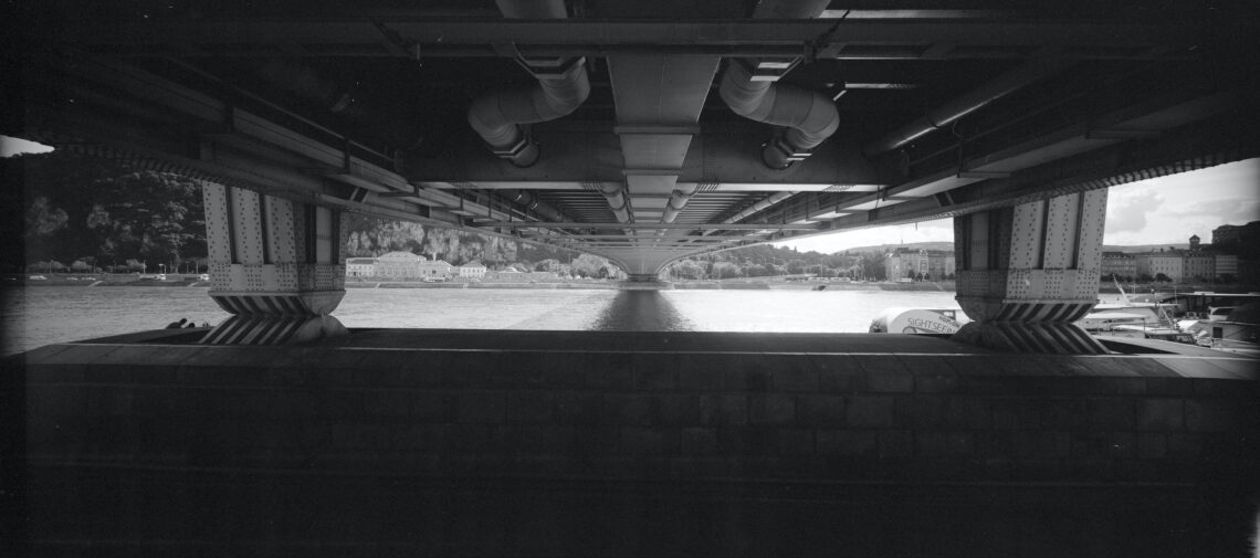 Goodman Zone 6x12 Adams edition Dora Goodman Cameras